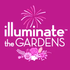 Illuminated Garden