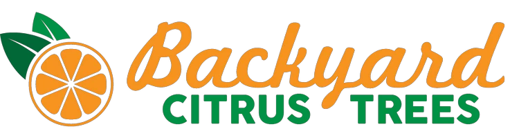 Backyard Citrus Trees