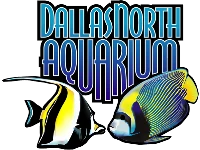 Dallas North Aquarium