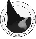Whale Museum