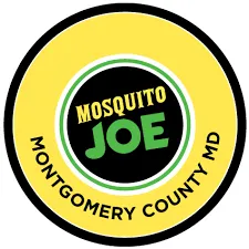 mosquitojoe