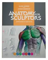 Anatomy For Sculptors