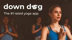 Down Dog