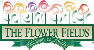 Flower Fields