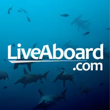 Liveaboard