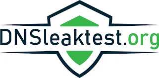 DNS leak test