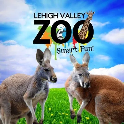 Lv Zoo