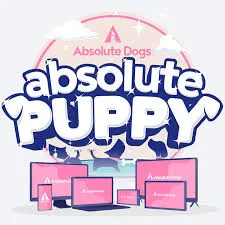 absoluteDogs