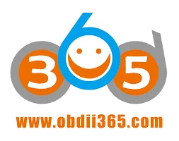 Obdii365
