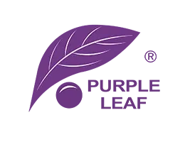 Purple Leaf