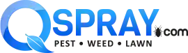 Qspray.com